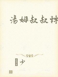 汤姆叔叔转接口