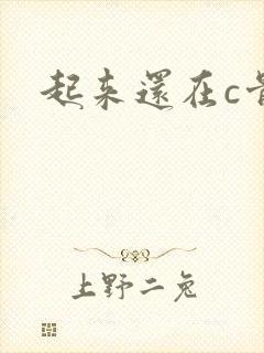 起来还在c骨科
