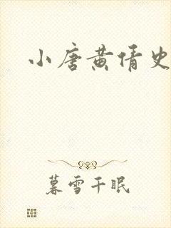 小唐黄倩史