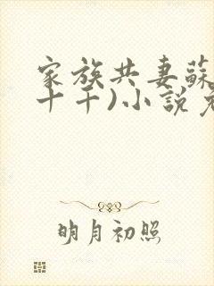 家族共妻苏苏(十千)小说免费