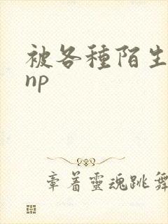 被各种陌生人 np