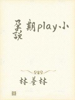 孕期play小说