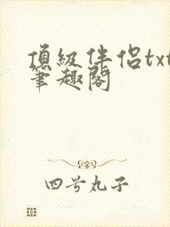 顶级伴侣txt笔趣阁