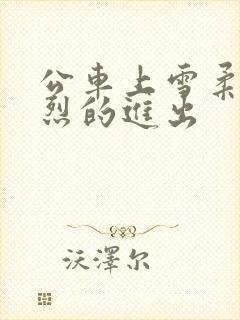 公车上雪柔被猛烈的进出