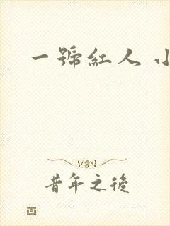 一号红人 小说