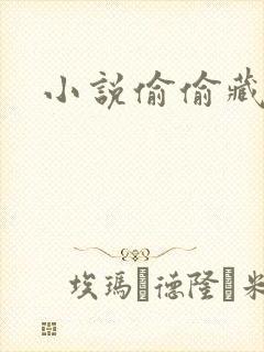 小说偷偷藏不住