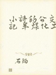 小诗的公交车日记 半煤化工