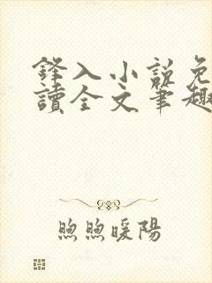 锋入小说免费阅读全文笔趣阁