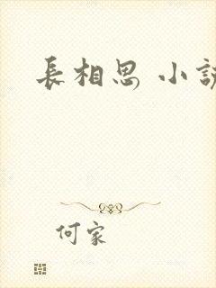 长相思 小说