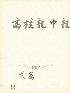 高校龙中龙