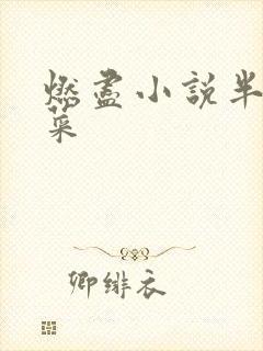 燃尽小说半截白菜