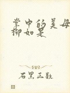 掌中的美母版主柳如是