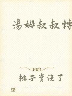 汤姆叔叔转接口