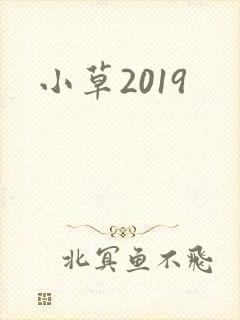 小草2019