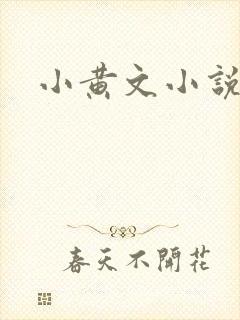 小黄文小说