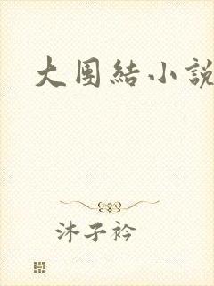 大团结小说全文