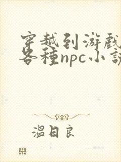 穿越到游戏里和各种npc小说