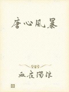 唐心风暴