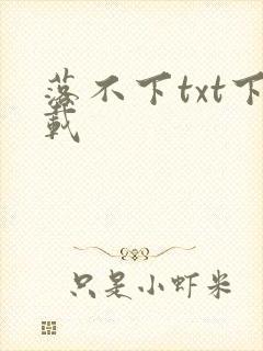 落不下txt下载