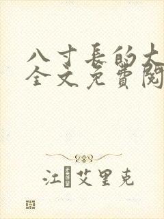 八寸长的大宝贝全文免费阅读