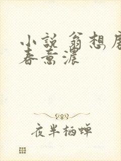 小说 翁想房中春意浓