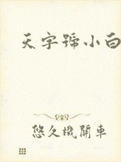 天字号小白脸