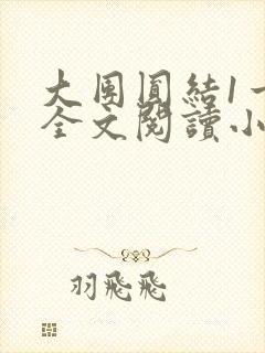 大团圆结1一6全文阅读小说