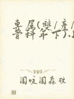 专属(双/产/骨科年下)小说