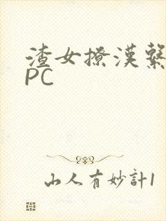 渣女撩汉系统NPC