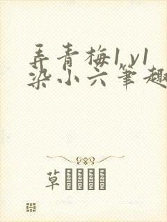 弄青梅1 v1染小六笔趣阁
