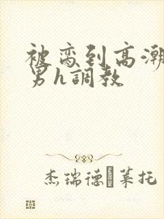 被脔到高潮的直男h调教