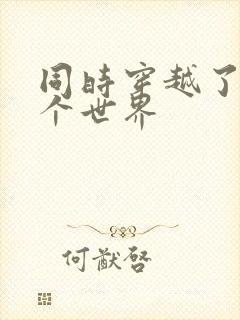 同时穿越了99个世界