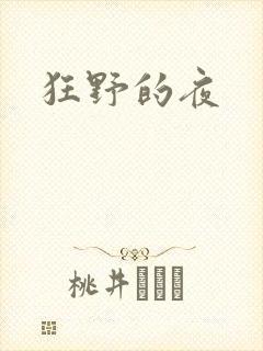 狂野的夜