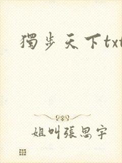 独步天下txt