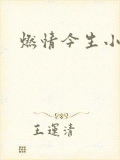 燃情今生小说
