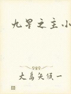 九星之主小说