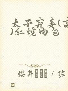 太子宠妾(高肉)红烧肉包