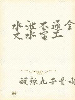 水泄不通金银原文水电工