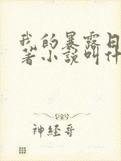 我的暴露日记原著小说叫什么