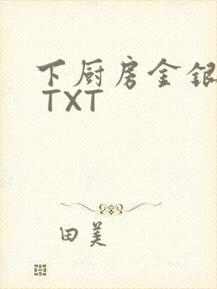 下厨房金银花露 TXT