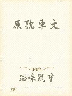 原耽车文