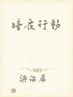 暗夜行动