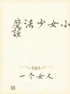 魔法少女小圆小说