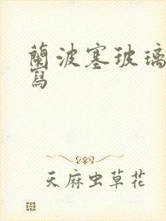 兰波塞玻璃球扩写