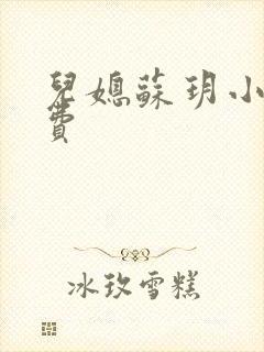 儿媳苏玥小说免费