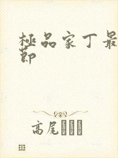 极品家丁最新章节