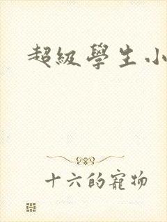 超级学生小说