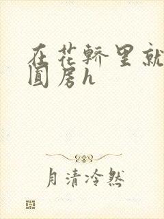 在花轿里就开始圆房h