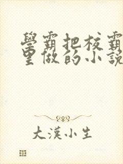 学霸把校霸往死里做的小说