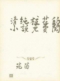 清纯校花的秘密小说免费阅读